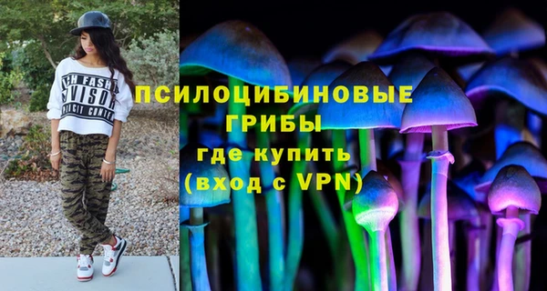 ALPHA-PVP Анжеро-Судженск