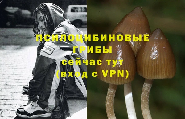 кокаин Михайловка