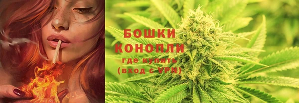 молекула духа Нея