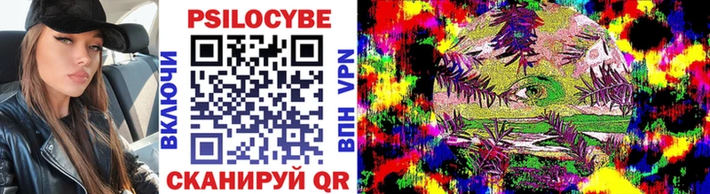 Галлюциногенные грибы Psilocybe Менделеевск