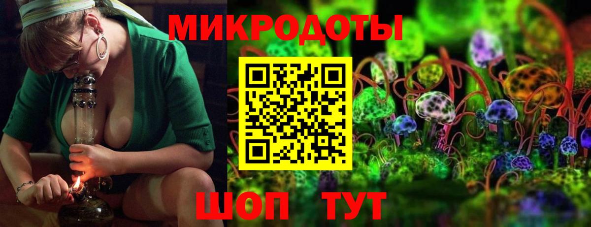 ГАШ Менделеевск