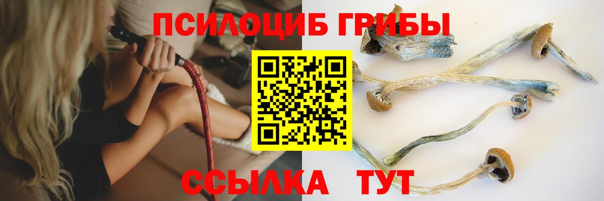 Псилоцибиновые грибы ЛСД  Вход с VPN  Менделеевск 